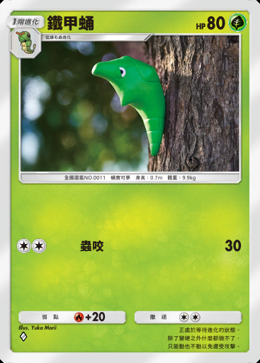 鐵甲蛹