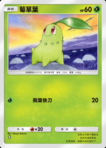 菊草葉