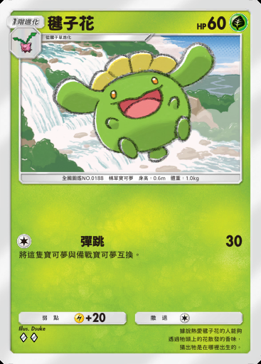 毽子花
