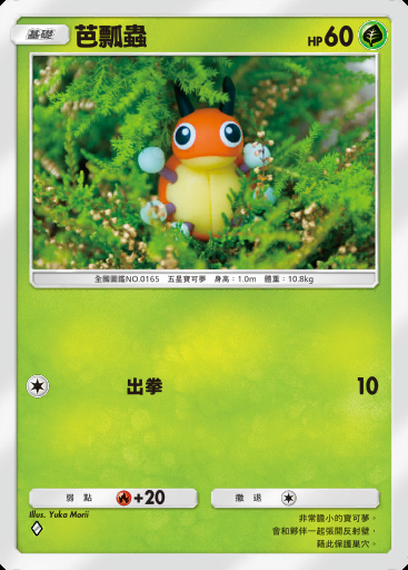 芭瓢蟲