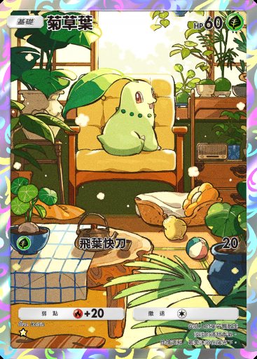 菊草葉